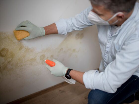 How to clean mold