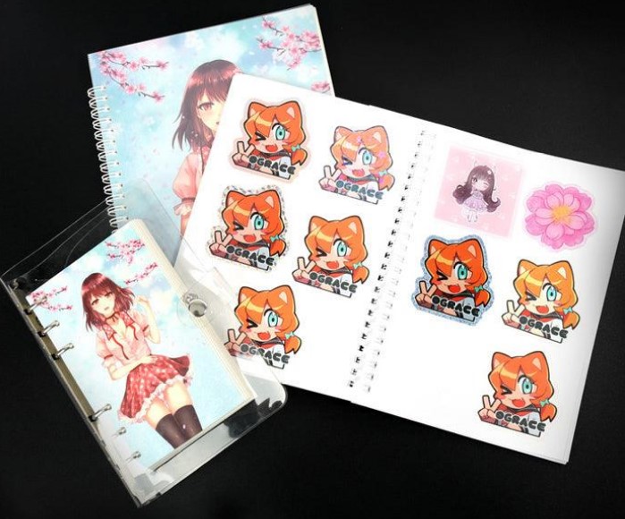 Reusable Sticker Books