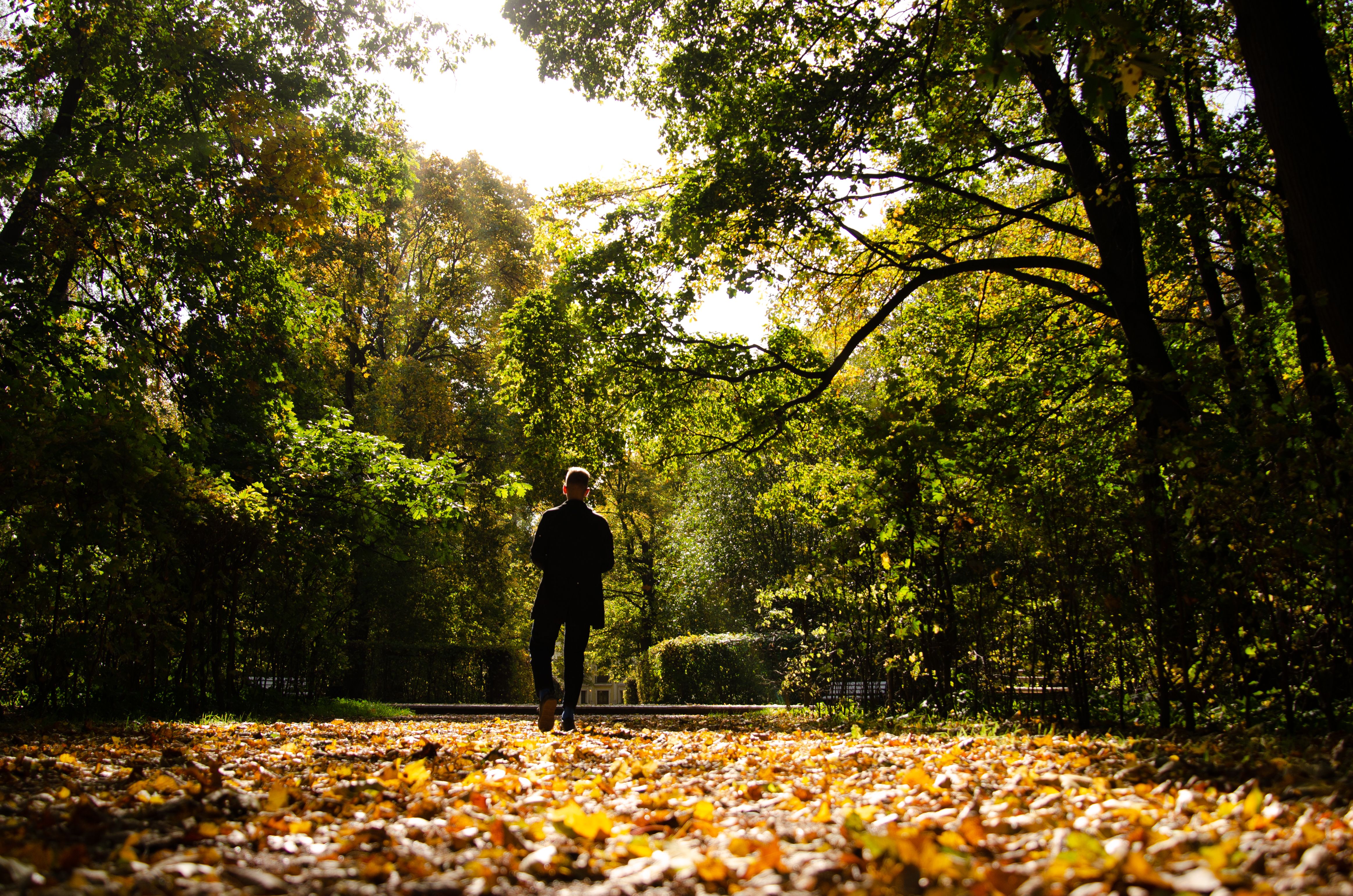 A person walking along a quiet forest path, evoking taking a restorative break from dating apps.